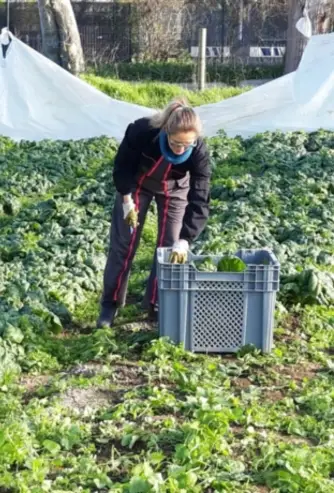 Producteur maraîcher à Varaville | La Ferme du Hôme