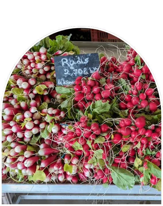 Producteur maraîcher à Varaville | La Ferme du Hôme