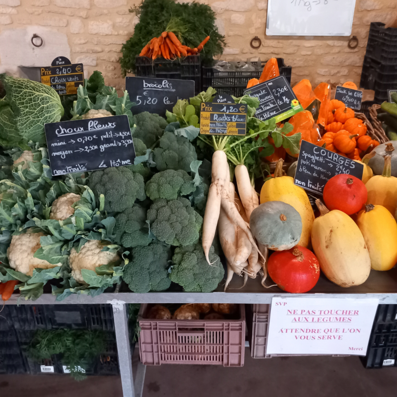 Producteur maraîcher à Varaville | La Ferme du Hôme